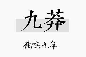 九莽名字的寓意及含义