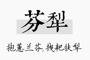 芬犁名字的寓意及含义