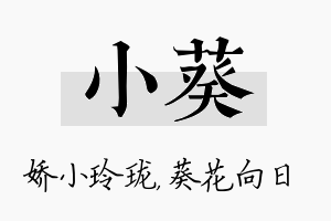 小葵名字的寓意及含义