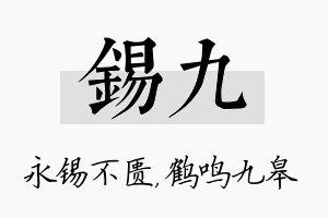 锡九名字的寓意及含义