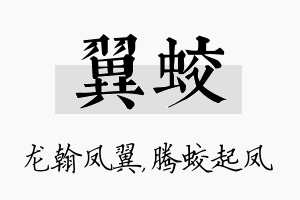 翼蛟名字的寓意及含义