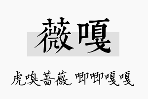 薇嘎名字的寓意及含义