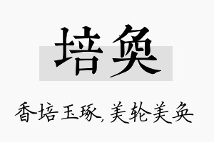 培奂名字的寓意及含义