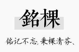 铭棵名字的寓意及含义