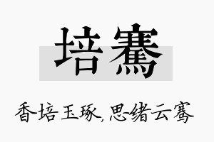 培骞名字的寓意及含义