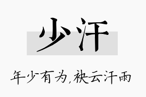 少汗名字的寓意及含义