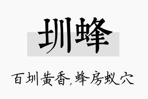 圳蜂名字的寓意及含义