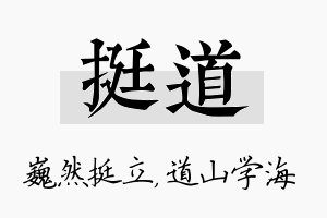 挺道名字的寓意及含义