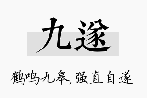 九遂名字的寓意及含义