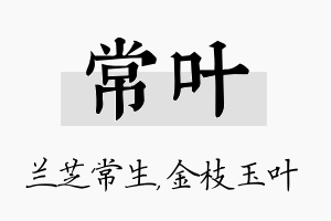 常叶名字的寓意及含义