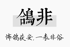 鸽非名字的寓意及含义