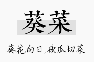 葵菜名字的寓意及含义