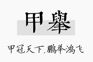 甲举名字的寓意及含义