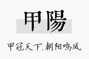 甲阳名字的寓意及含义