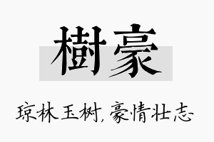 树豪名字的寓意及含义