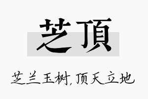 芝顶名字的寓意及含义