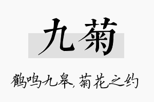 九菊名字的寓意及含义