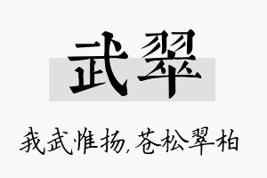 武翠名字的寓意及含义