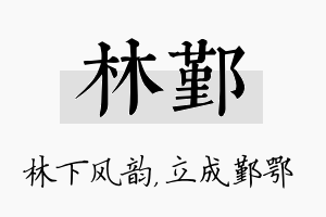 林鄞名字的寓意及含义