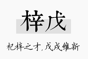 梓戊名字的寓意及含义