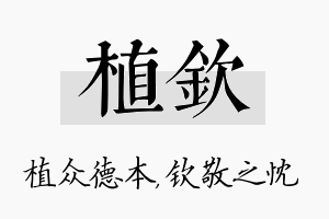 植钦名字的寓意及含义