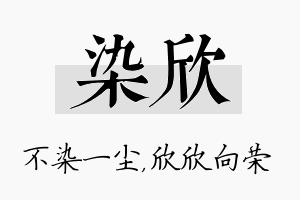 染欣名字的寓意及含义