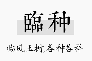 临种名字的寓意及含义