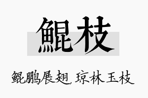 鲲枝名字的寓意及含义