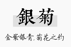 银菊名字的寓意及含义