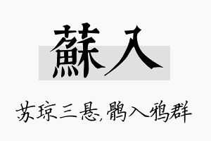 苏入名字的寓意及含义