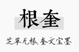 根奎名字的寓意及含义