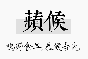 苹候名字的寓意及含义