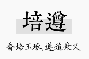 培遵名字的寓意及含义