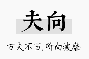 夫向名字的寓意及含义