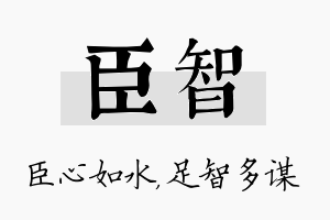 臣智名字的寓意及含义