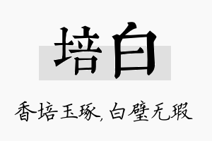 培白名字的寓意及含义