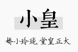 小皇名字的寓意及含义