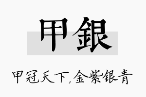 甲银名字的寓意及含义