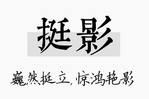 挺影名字的寓意及含义