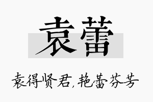 袁蕾名字的寓意及含义