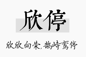 欣停名字的寓意及含义