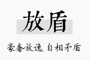 放盾名字的寓意及含义