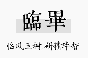 临毕名字的寓意及含义