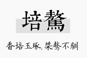 培骜名字的寓意及含义