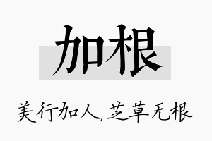 加根名字的寓意及含义