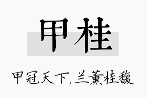 甲桂名字的寓意及含义