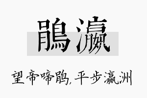 鹃瀛名字的寓意及含义