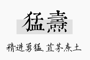 猛焘名字的寓意及含义