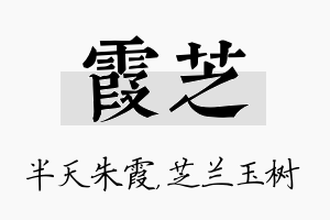 霞芝名字的寓意及含义