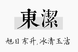 东洁名字的寓意及含义